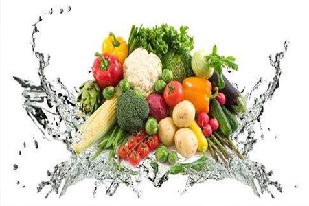 佛山蔬菜配送 佛山蔬菜配送