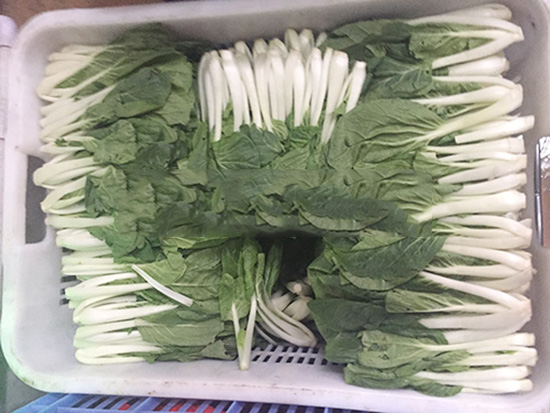 佛山農產品批發(fā)